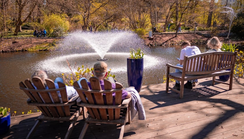 Spacer po Ogrodzie Botanicznym we Wrocławiu - Wielkanoc 2026