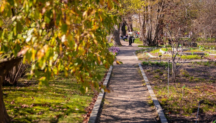 Spacer po Ogrodzie Botanicznym we Wrocławiu - Wielkanoc 2026