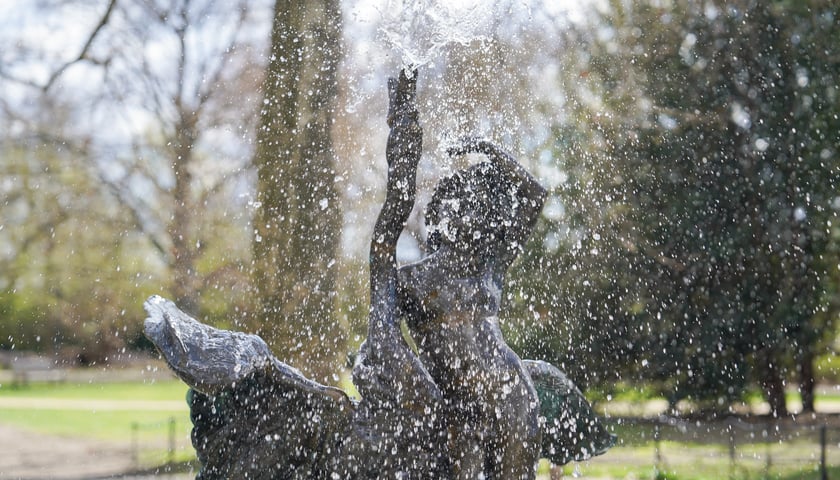 Wrocławskie fontanny w śmigus-dyngus. Dziś najwytrwalej - i najpiękniej - lały wodę
