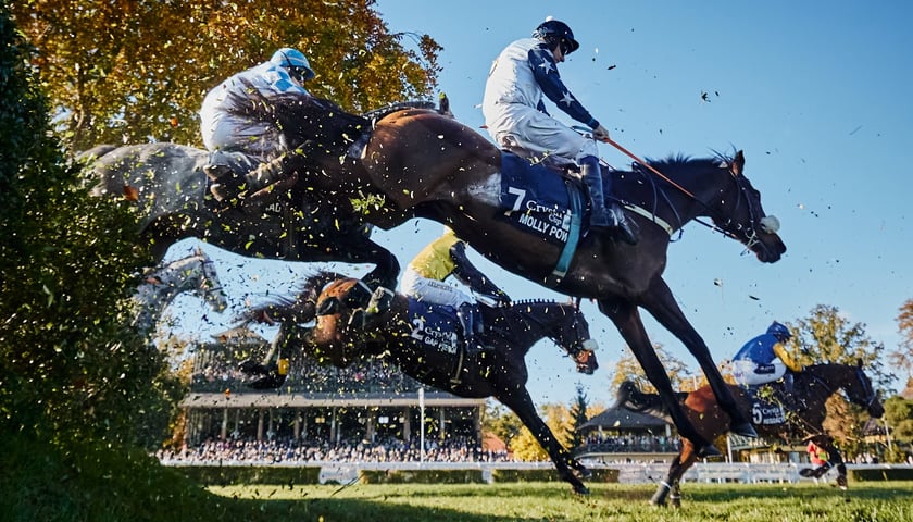Wrocławski Tor Wyścigów Konnych