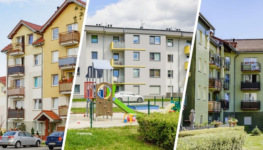 Bloki mieszkalne TBS Wrocław, zieleń, plac zabaw