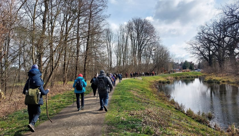 Na żółtym szlaku. Okolice średniowiecznego grodu na Sołtysowicach
