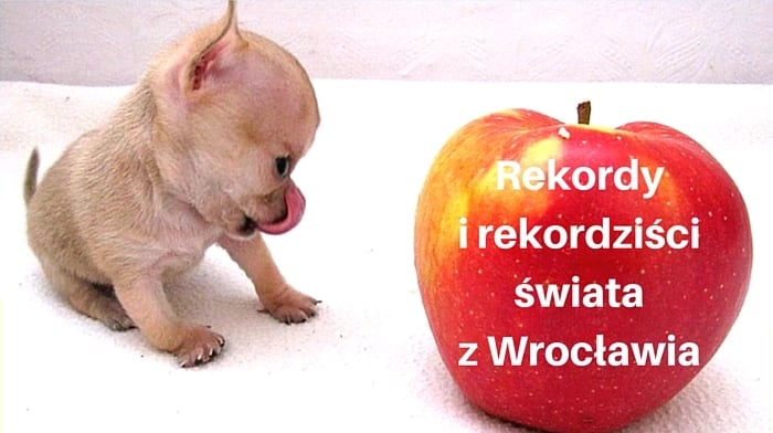 Wrocławskie rekordy świata – zobacz, kto je pobił