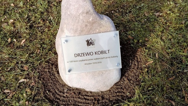 O rosnącym obok rocznicowym drzewie informuje tabliczka