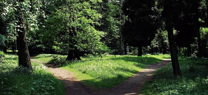 Park Grabiszyński