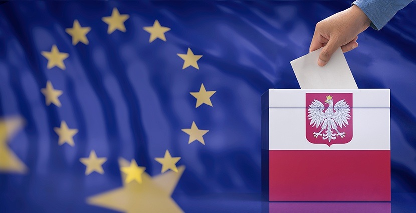 Deutsche Fassung – Wahl zum Europäischen Parlament 2019