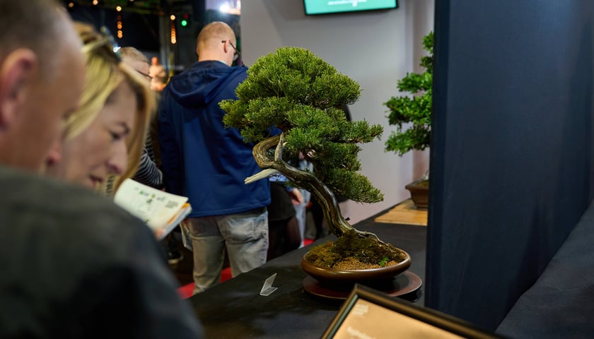 Powiększ obraz: <p>Fantastyczny World Flower Show &ndash; Światowa Wystawa Roślin na Tarczyński Arena 11 i 12 kwietnia</p>
