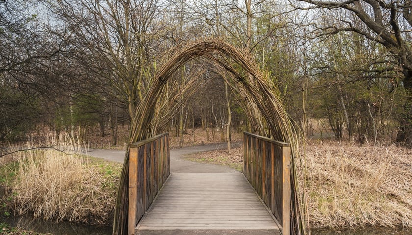 Powiększ obraz: Park Krzycki