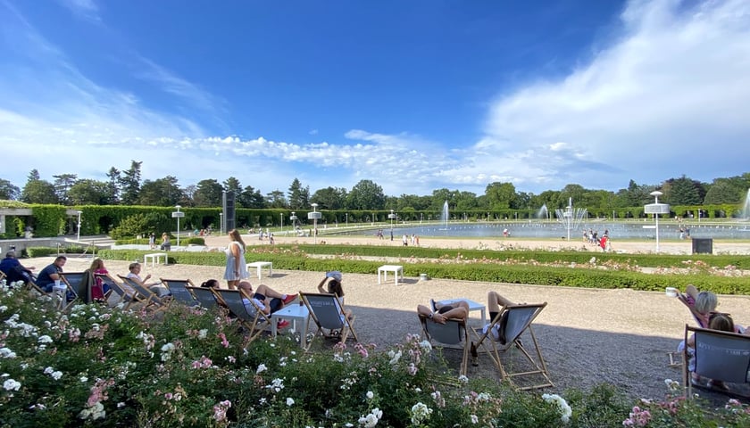 Powiększ obraz: Pergola