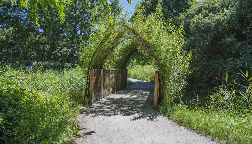 Powiększ obraz: Park Krzycki