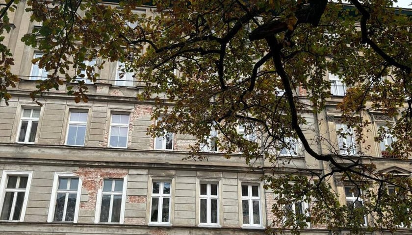 kamienica na Ołbinie
