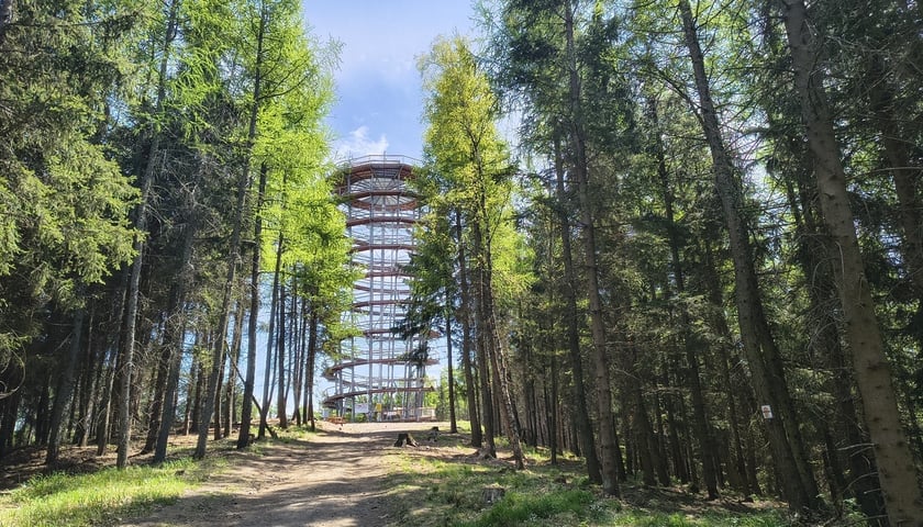Powiększ obraz: <p>Nowa wieża na Dzikowcu</p>