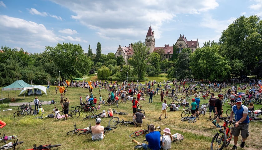 Powiększ obraz: <p>Rowerowy piknik w Parku Tołpy. Zdjęcie archiwalne, wykonane 10 czerwca 2024.</p>
