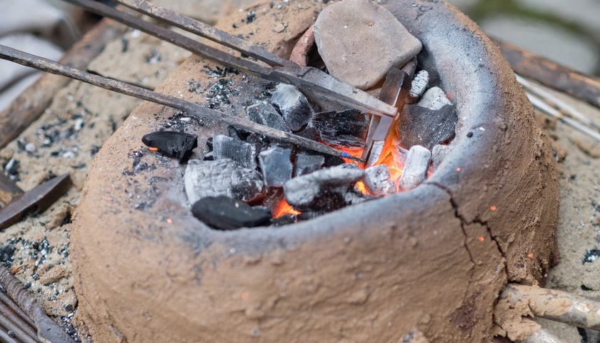 Powiększ obraz: Archeologiczny festiwal 