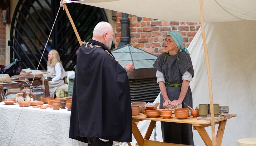 Powiększ obraz: Archeologiczny festiwal 