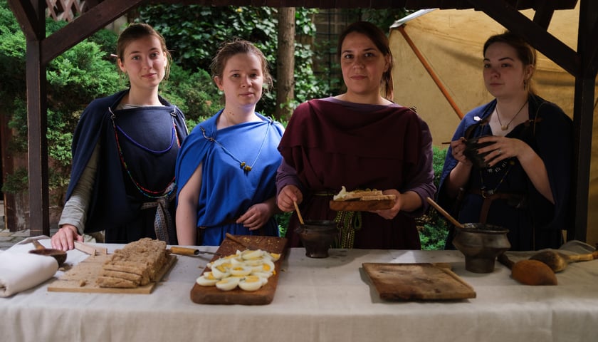 Powiększ obraz: Archeologiczny festiwal 