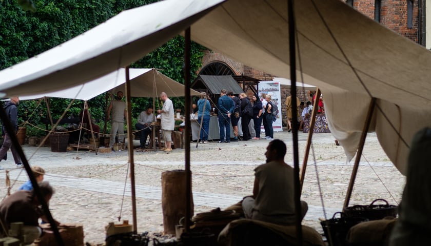 Powiększ obraz: Archeologiczny festiwal 
