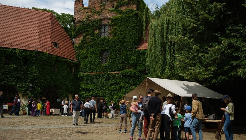 Powiększ obraz: Archeologiczny festiwal 