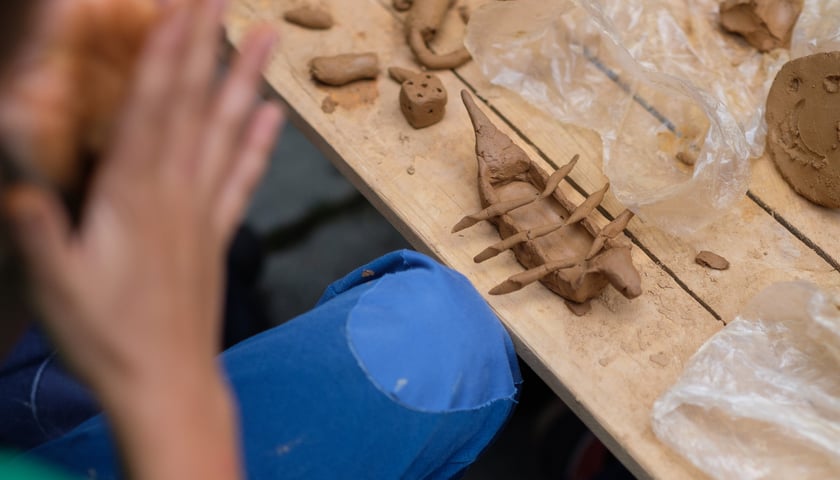 Powiększ obraz: Archeologiczny festiwal 
