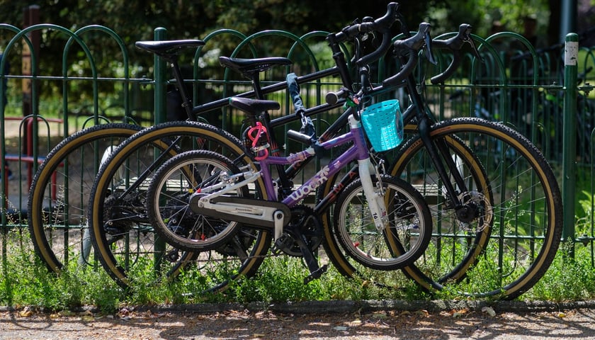Rowerowy piknik w Parku Tołpy, 14 czerwca, Wrocław
