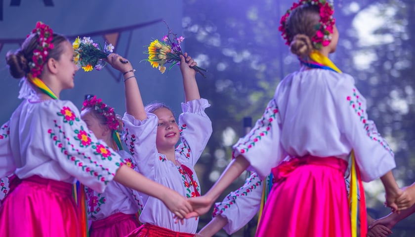 Wielki Wrocławski Piknik w Pawłowicach