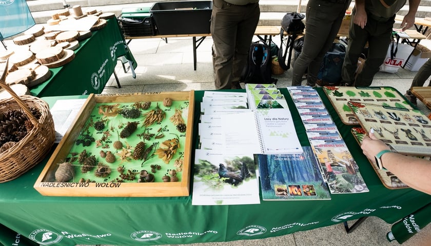 Piknik Bezpieczny Wrocław