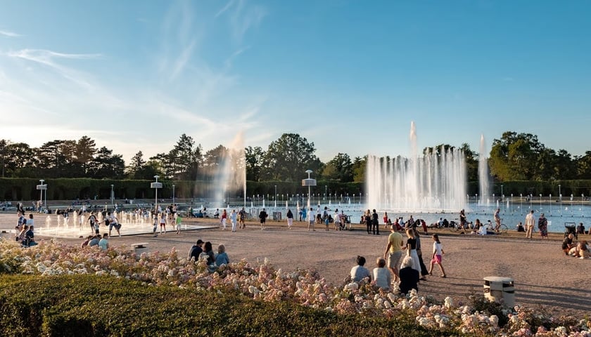 Powiększ obraz: Pergola