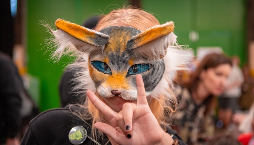 Powiększ obraz: Targ Japoński NiuCon w Czasoprzestrzeni 2025 r.