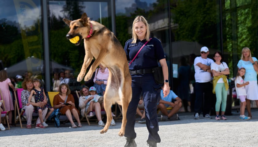 Powiększ obraz: Latem na Pergoli piknik z policją – rodzinna fiesta w sobotę 11 lipca