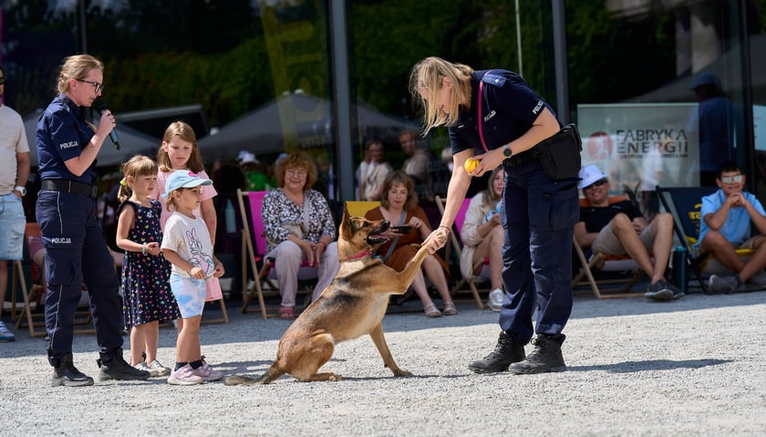 Powiększ obraz: Latem na Pergoli piknik z policją – rodzinna fiesta w sobotę 11 lipca