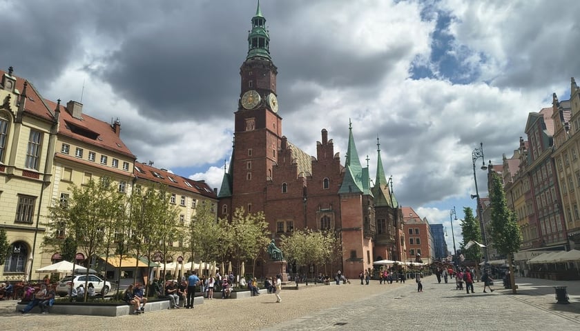Powiększ obraz: <p>Wrocławski Rausz, pomnik hrabiego Fredry oraz młode drzewka, posadzone na Rynku. Maj 2026.</p>