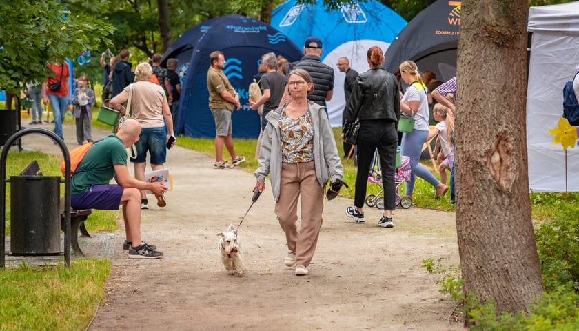 Piknik "Wakacje z Wroclaw.pl" pod wzgórzem Gajowym