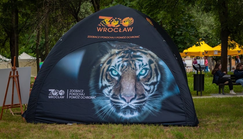 Piknik "Wakacje z Wroclaw.pl" pod wzgórzem Gajowym