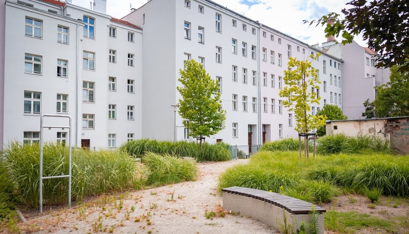 Powiększ obraz: Kamienica przy Placu Strzeleckim po remoncie, lipiec 2026