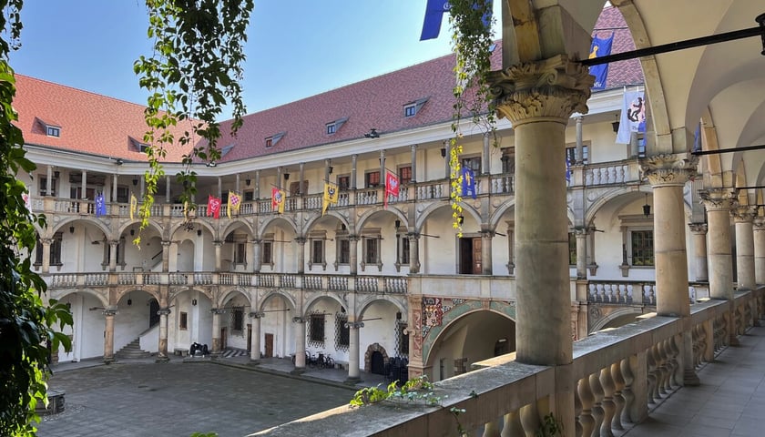 Brzeg