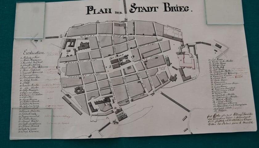 Brzeg
