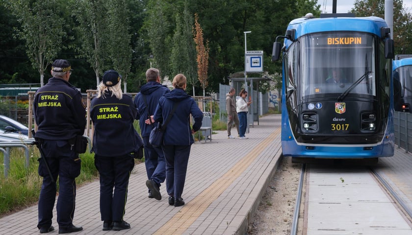 Powiększ obraz: Wspólny patrol strażników miejskich i kontrolerów biletowych MPK