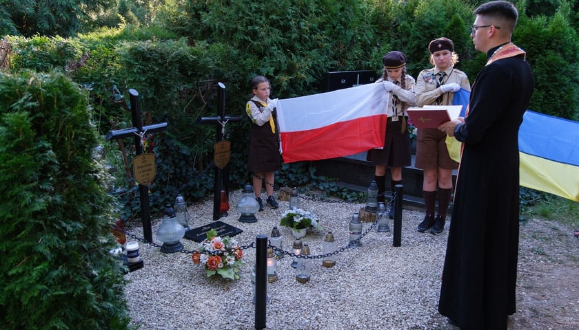 Powiększ obraz: 