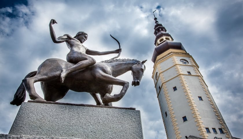 Powiększ obraz: Pomnik Strzelca na rynku w Strzelinie