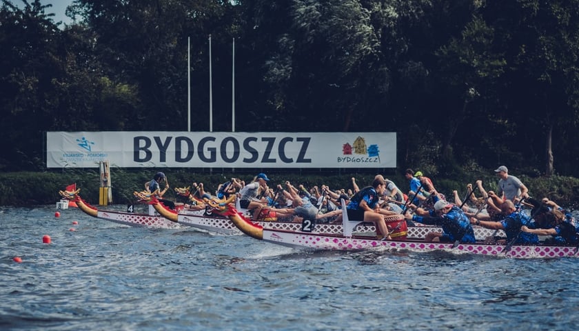 Powiększ obraz: Wyścig podczas Mistrzostw Polski Smoczych Łodzi w Bydgoszczy