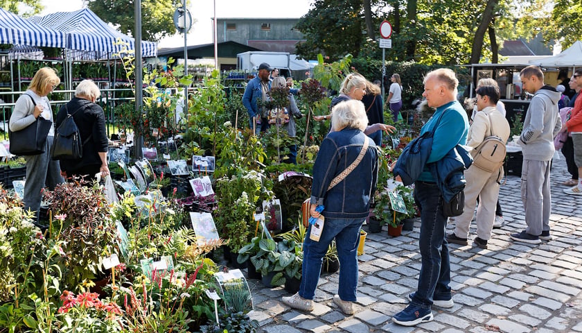 Powiększ obraz: Kiermasz Ogrodniczy „Pamiętajcie o ogrodach”