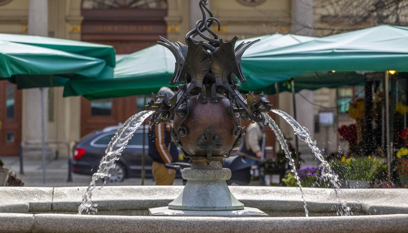 Powiększ obraz: fontanna Smoki na pl. Solnym