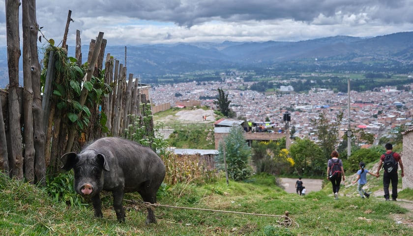 Obecnie Artur wraz z dziewczyną przebywa w Peru