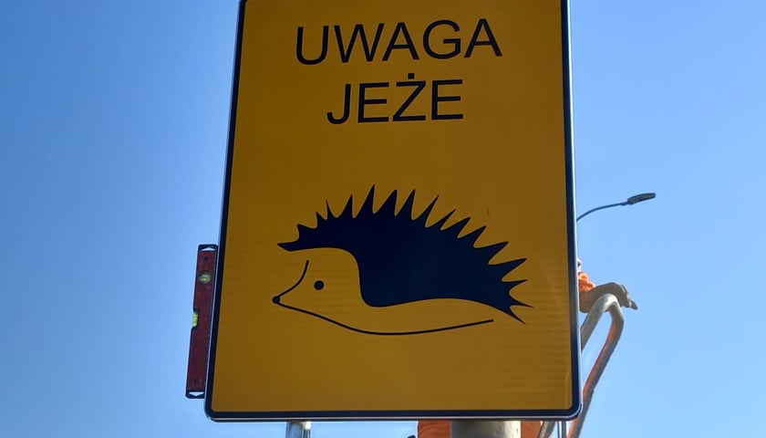 Powiększ obraz: Takie znaki ostrzegawcze powstają dzięki inicjatywie Zarządu Dróg i Utrzymania Miasta we Wrocławiu