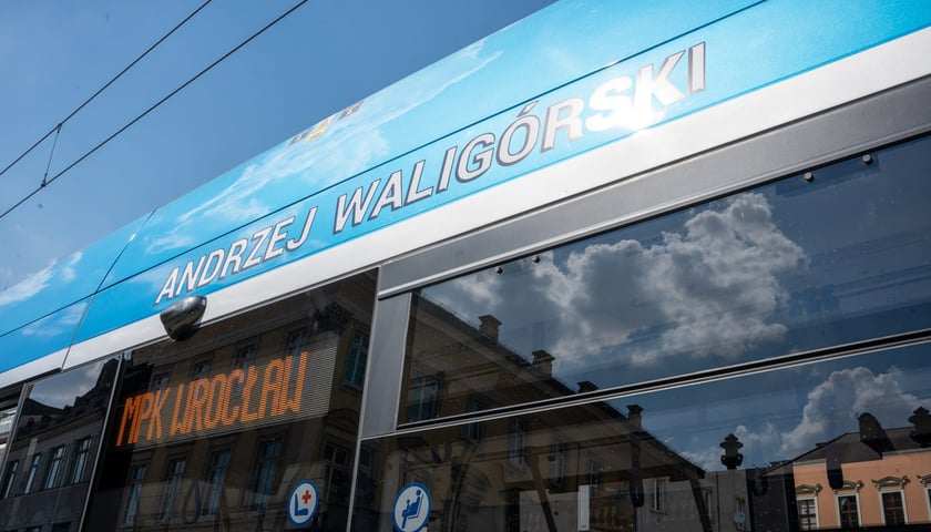 Wrocław pamięta o Andrzeju Waligórskim: tramwaj jego imienia i  wrocławski krasnal, 26.06.2022 r.
