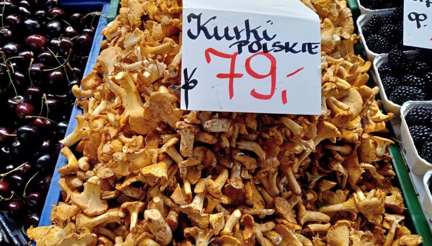 Powiększ obraz: Ceny kurek we Wrocławiu zwalają z nóg. Na zdjęciu kurki na stoisku w hali przy ul. Piaskowej