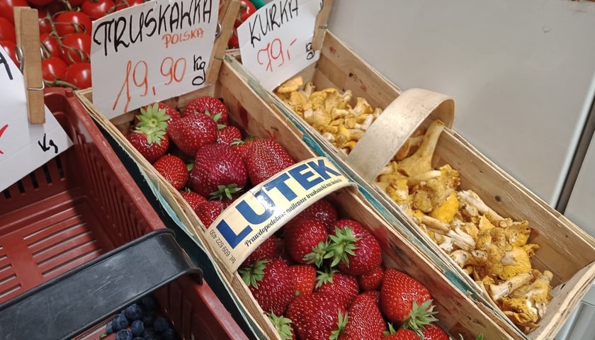 Powiększ obraz: Ceny kurek we Wrocławiu zwalają z nóg.  Na zdjęciu kurki w warzywniaku przy ul. Legnickiej