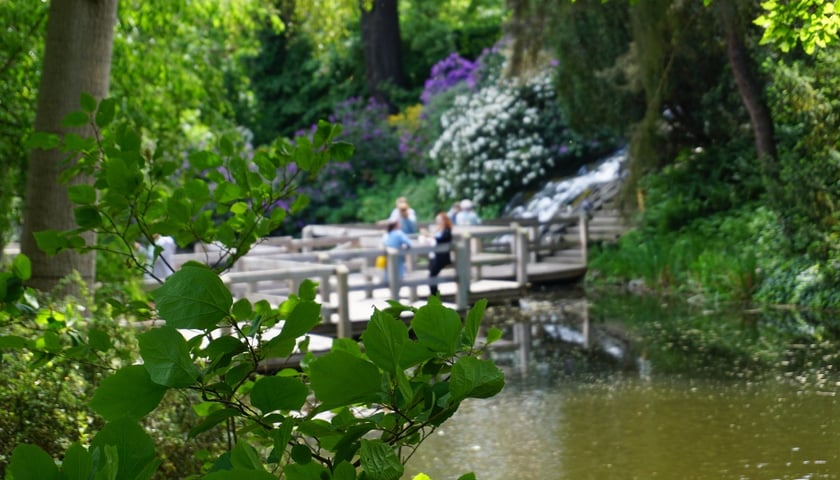 Powiększ obraz: Ogród Botaniczny we Wrocławiu, zdjęcie ilustracyjne