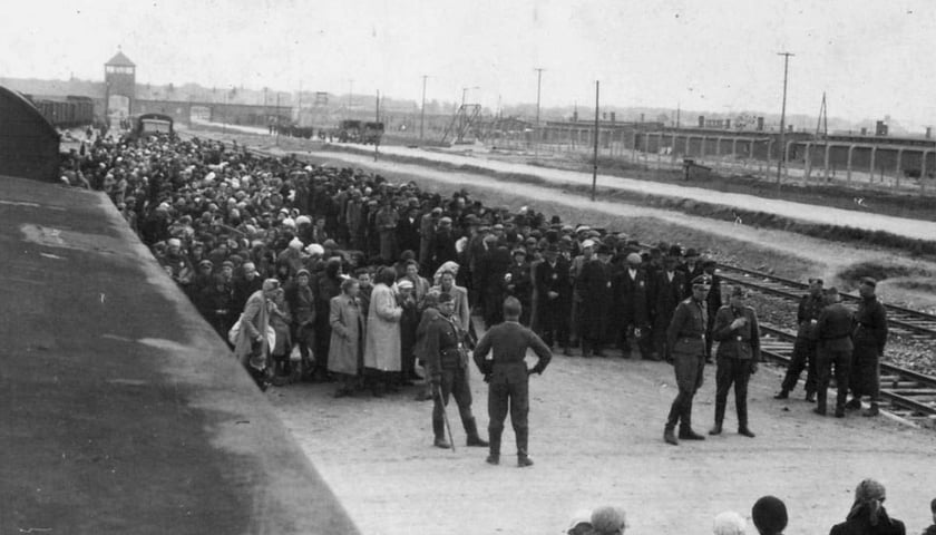 Powiększ obraz: Selekcja wiezniow na rampach kolejowych obozu Auschwitz II Birkenau 1944 rok