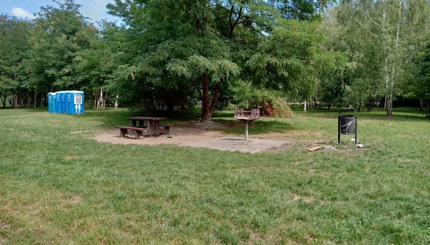 Nowy Beach Bar we Wrocławiu powstał na Maślicach. Obok są: staw, kąpielisko i miejsca do grillowania